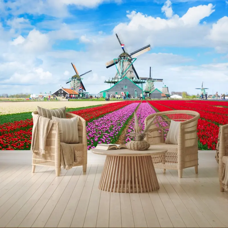 Fototapete tulpenfelder und niederländische windmühlen
