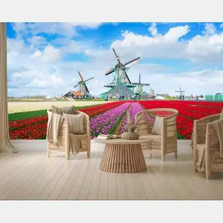 Fototapete tulpenfelder und niederländische windmühlen – Pixers®