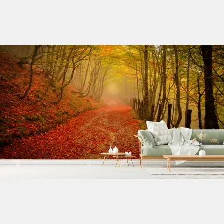 Fototapete herbstlicher waldweg unter goldenem blätterdach – Pixers®