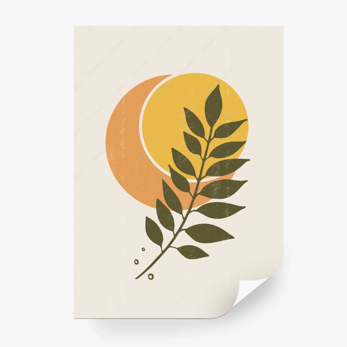Fototapete boho sonne und mond mit pflanzenmotiv – Pixers®