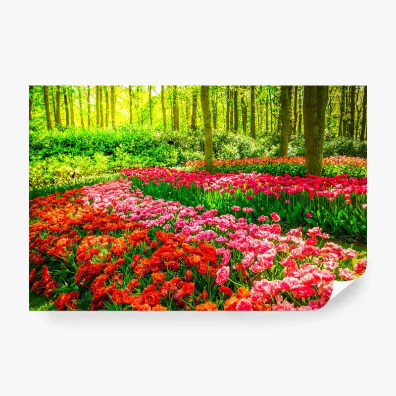 Fototapete lebendiger tulpengarten in voller blüte