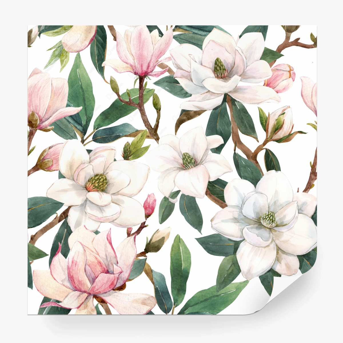 Fototapete zarte magnolie aquarell botanisches muster – Pixers®