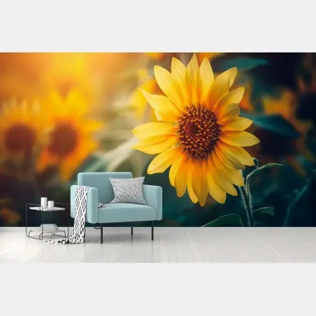 Fototapete goldene sonnenblume im morgenlicht – Pixers®