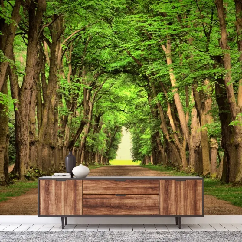 Fototapete sonnige baumallee im wald