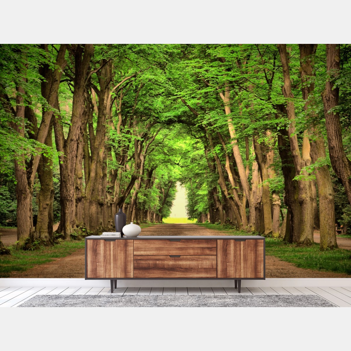 Fototapete sonnige baumallee im wald – Pixers®