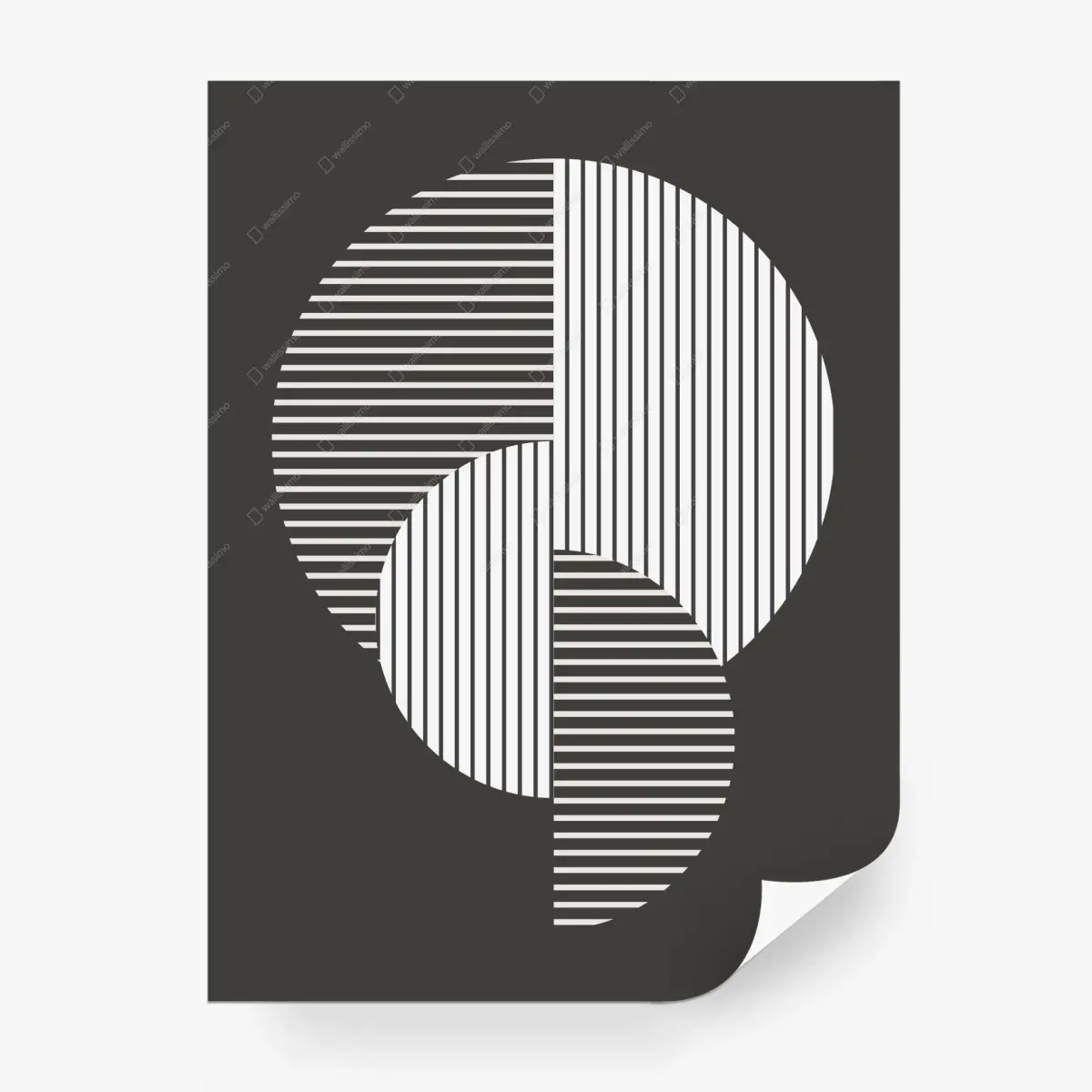 Fototapete geometrische monochrome kreise – Pixers®