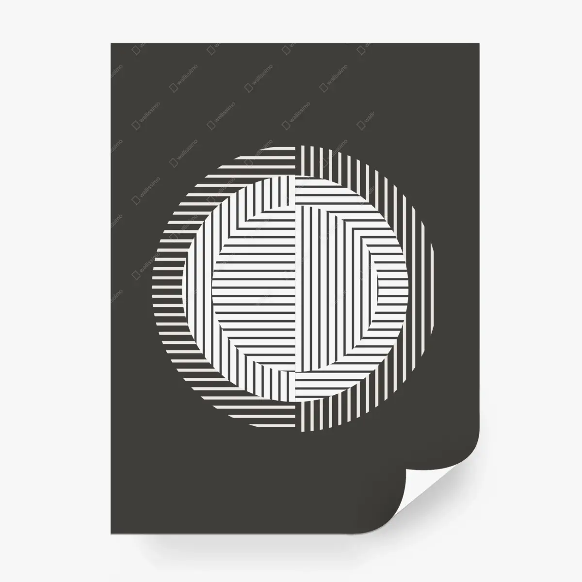 Fototapete monochromer geometrischer kreis – Pixers®