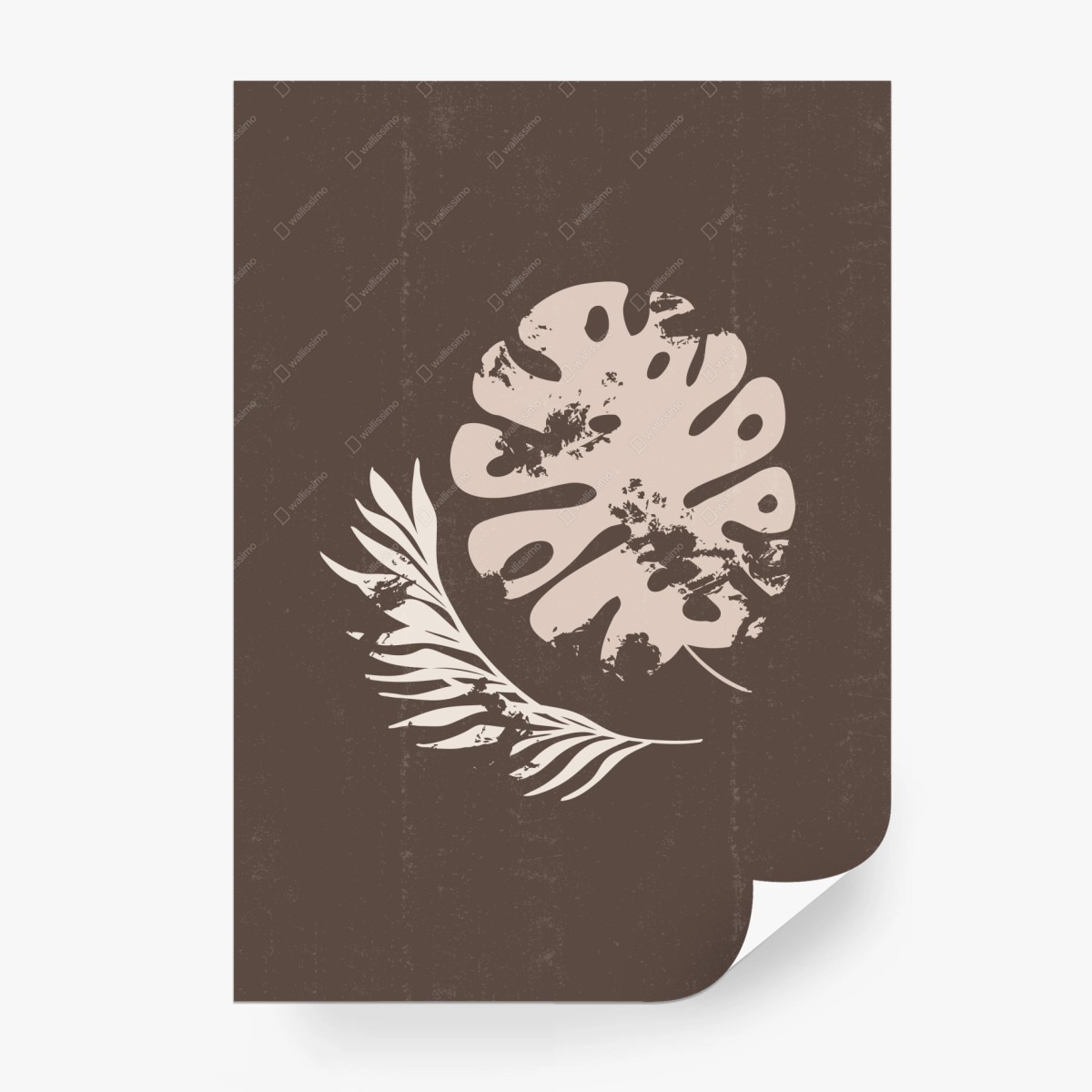 Fototapete monstera und farn boho botanische grafik – Pixers®