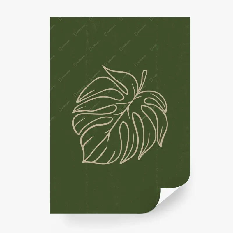Fototapete minimalistische monstera-blatt botanische grafik