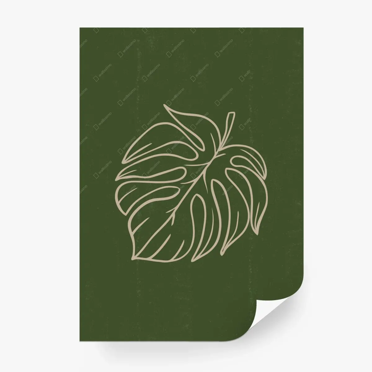 Fototapete minimalistische monstera-blatt botanische grafik – Pixers®