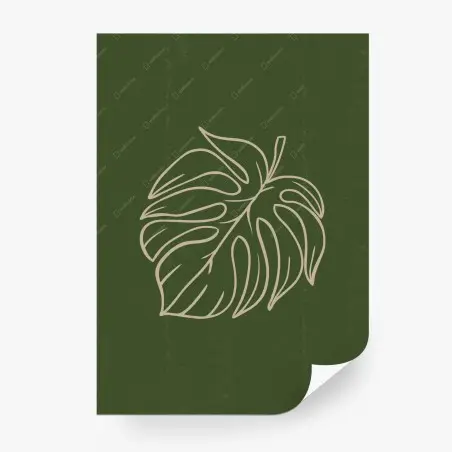 Fototapete minimalistische monstera-blatt botanische grafik – Pixers®