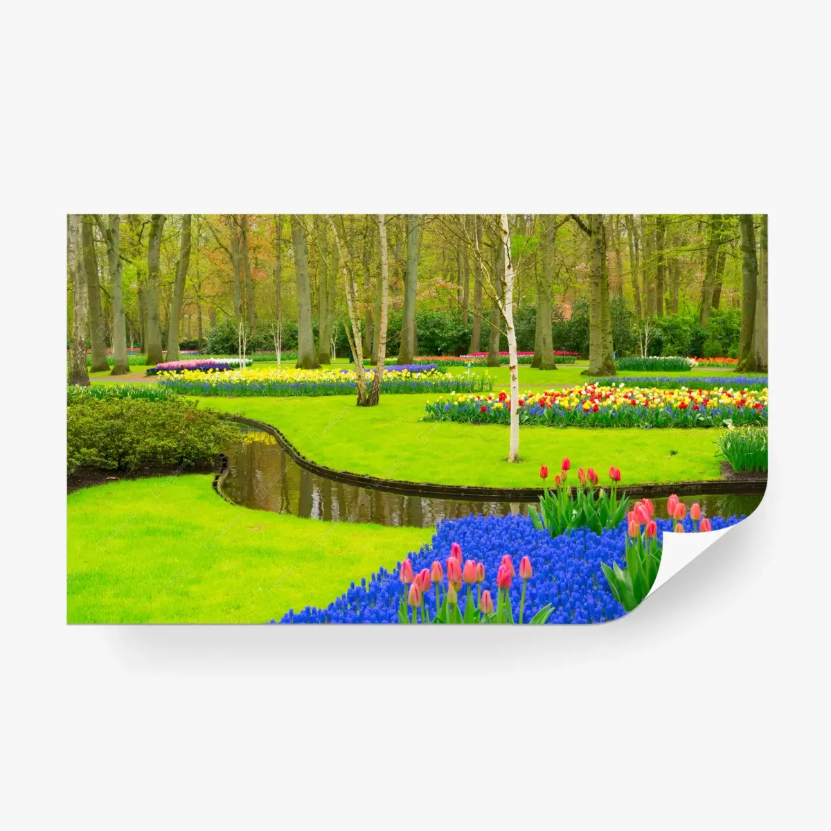 Fototapete frühlingsgarten mit tulpen – Pixers®