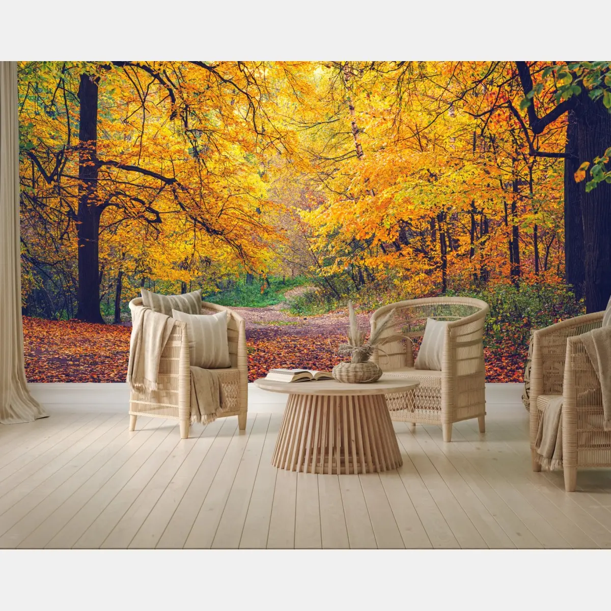 Fototapete goldener herbstweg im wald – Pixers®