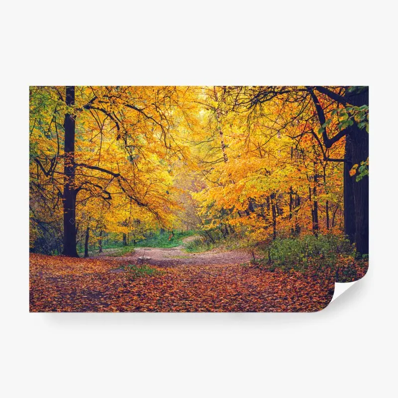 Fototapete goldener herbstweg im wald