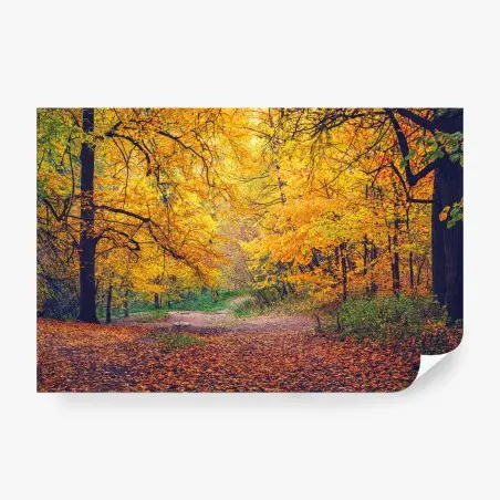 Fototapete goldener herbstweg im wald – Pixers®