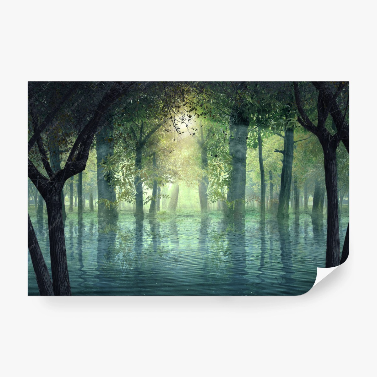 Fototapete verzauberter überfluteter wald im sonnenlicht – Pixers®