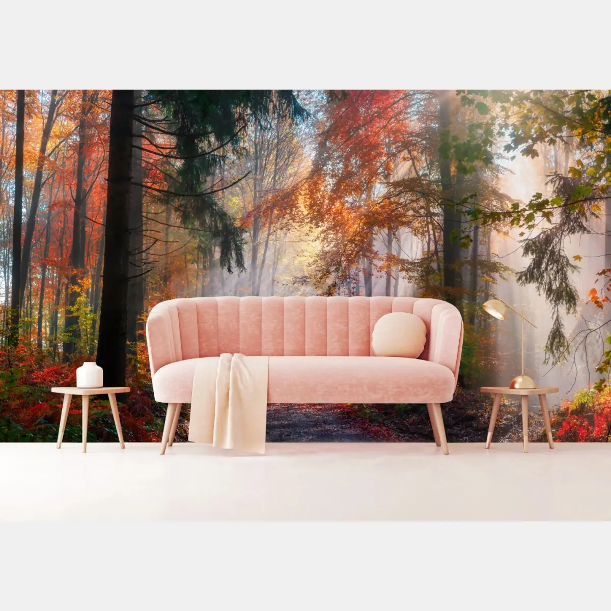 Fototapete magischer herbstwald im sonnenlicht – Pixers®