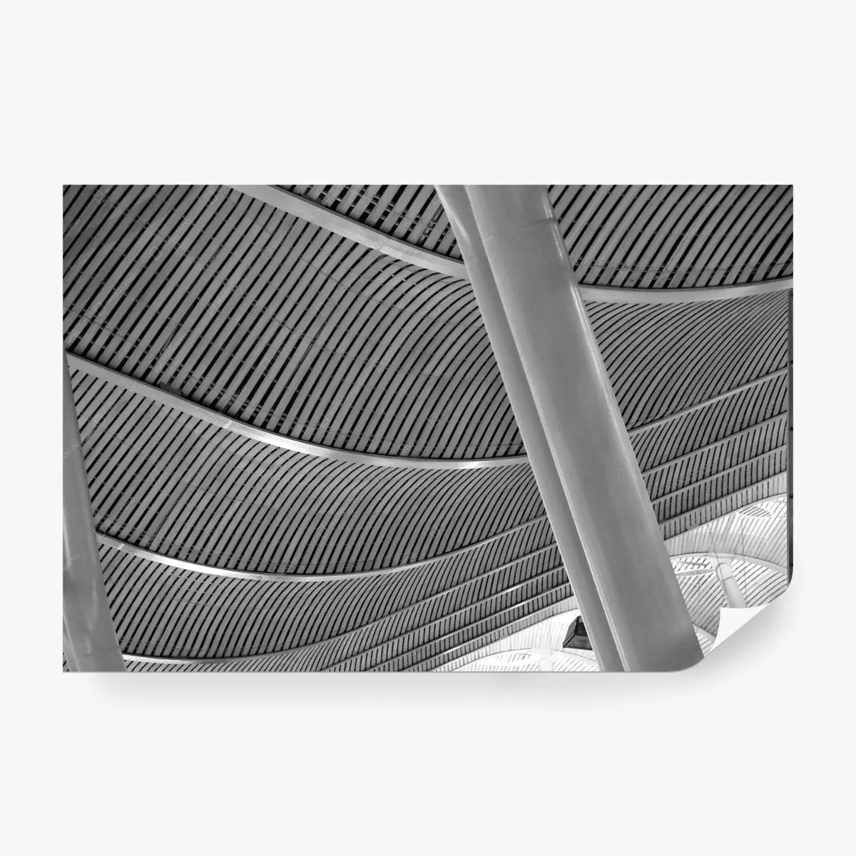 Fototapete gekrümmte architektonische decke in graustufen – Pixers®
