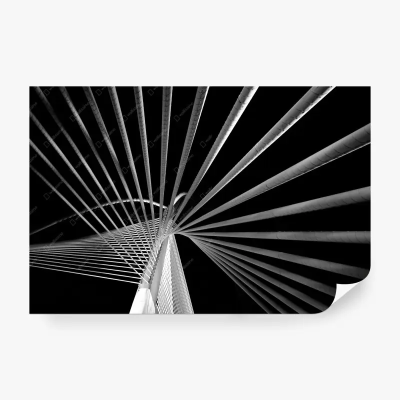 Fototapete geometrische brückenlinien in schwarzweiß