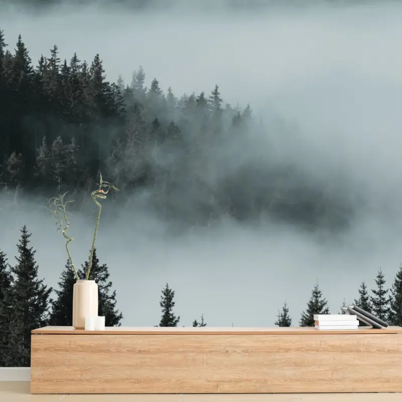 Fototapete nebliger kiefernwald