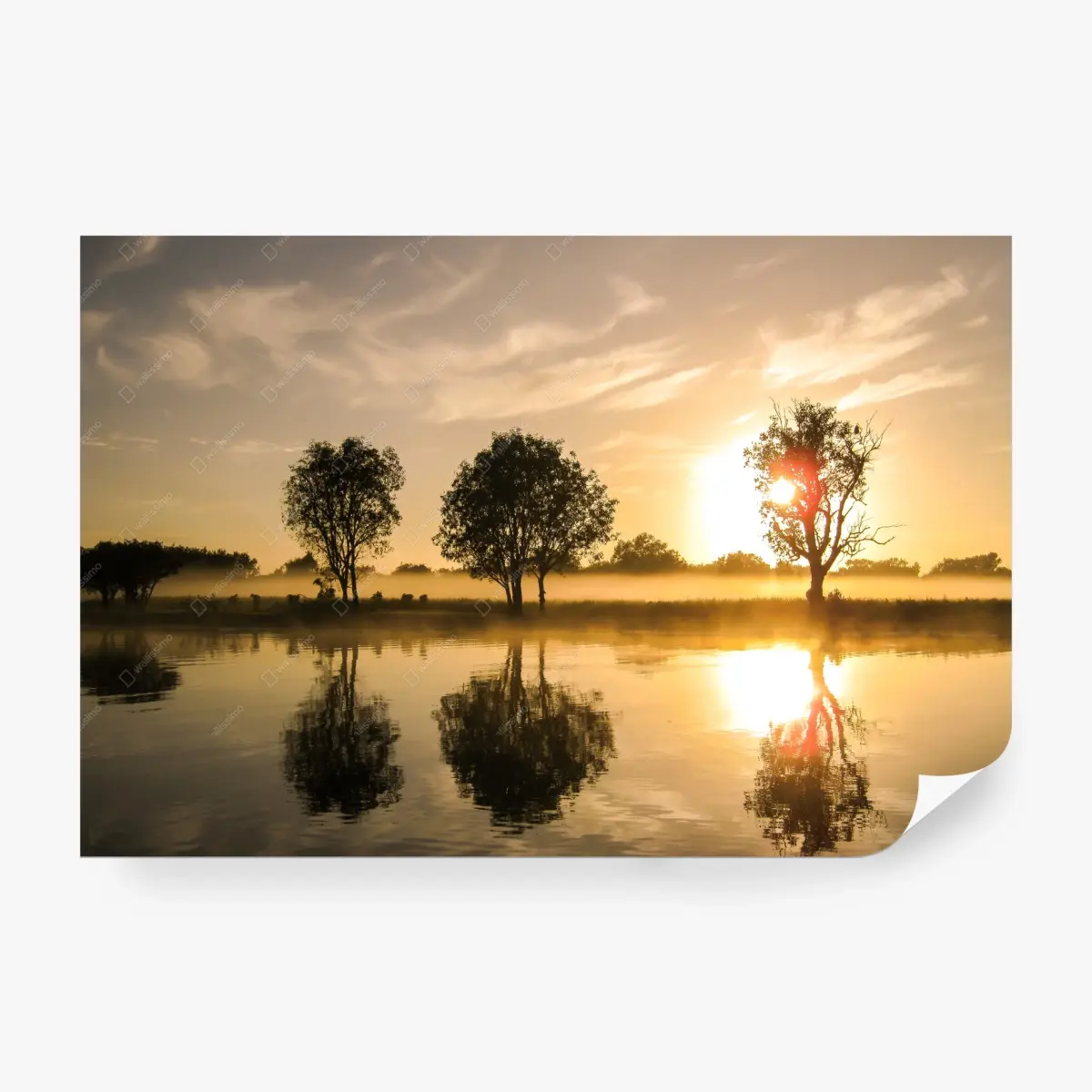 Fototapete goldener sonnenaufgang über dem spiegelnden see – Pixers®