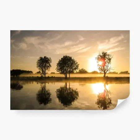 Fototapete goldener sonnenaufgang über dem spiegelnden see – Pixers®
