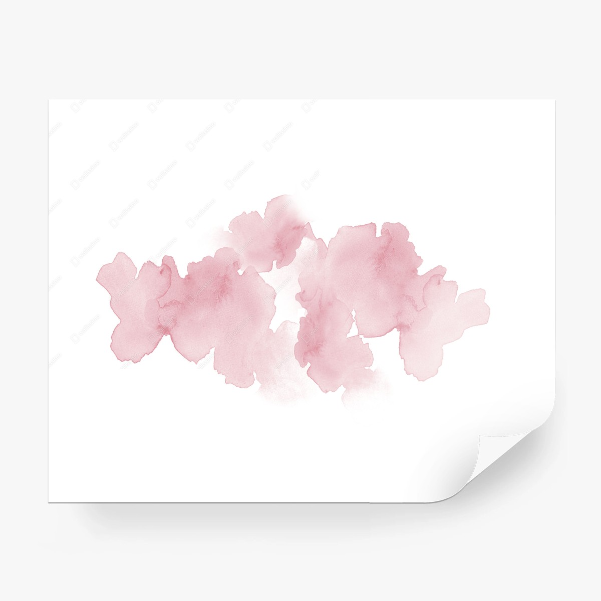 Fototapete sanfte rosa aquarellblüte – Pixers®