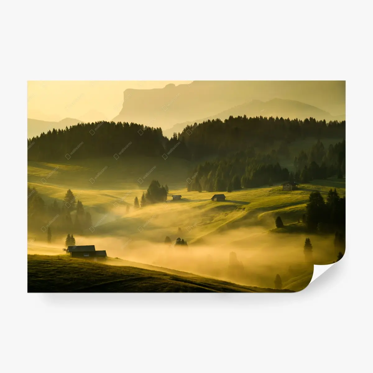 Fototapete Seiser Alm sonnenaufgang über Langkofel und alpine wiesen – Pixers®