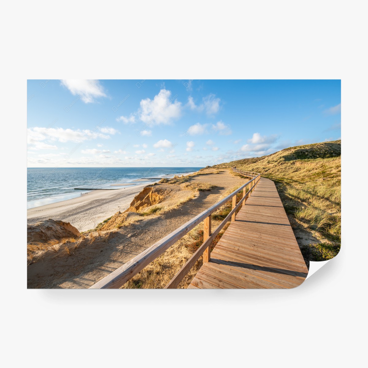 Fototapete sonniger küstensteg über sanddünen – Pixers®