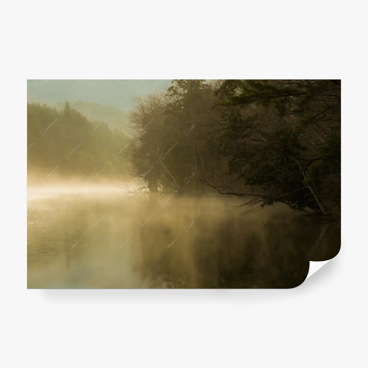 Fototapete nebliges seeufer am morgen – Pixers®