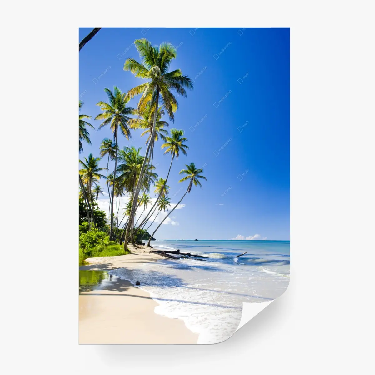 Fototapete tropischer palmenstrand unter blauem himmel – Pixers®