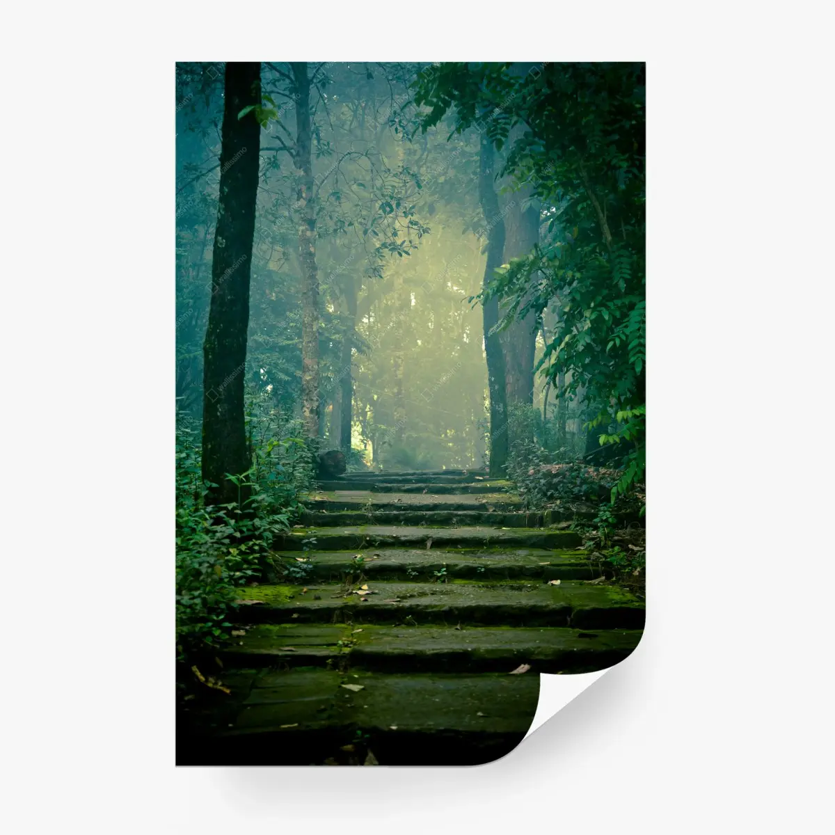 Fototapete moosbedeckte steintreppe in den nebligen wald – Pixers®
