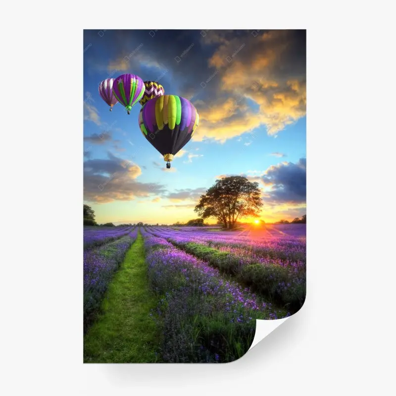 Fototapete lavendersonnenuntergang mit bunten heißluftballons