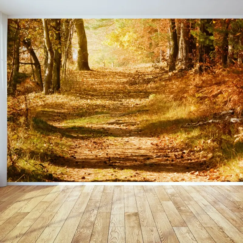 Fototapete herbstlicher waldweg mit goldenem licht