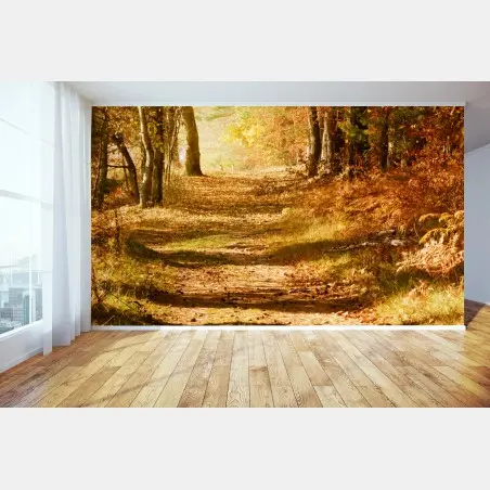 Fototapete herbstlicher waldweg mit goldenem licht – Pixers®