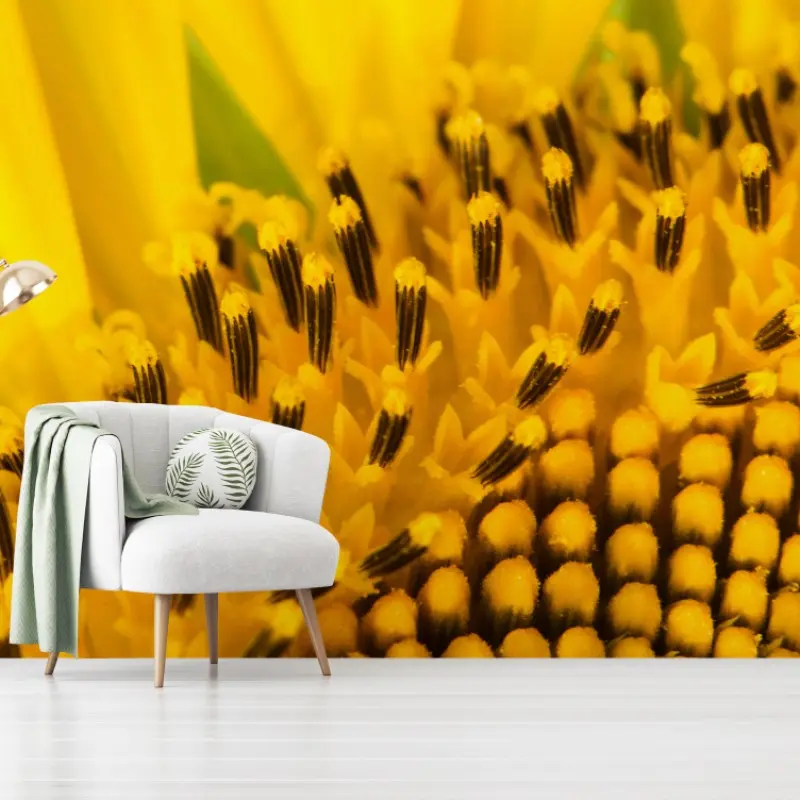 Fototapete goldene sonnenblume nahaufnahme