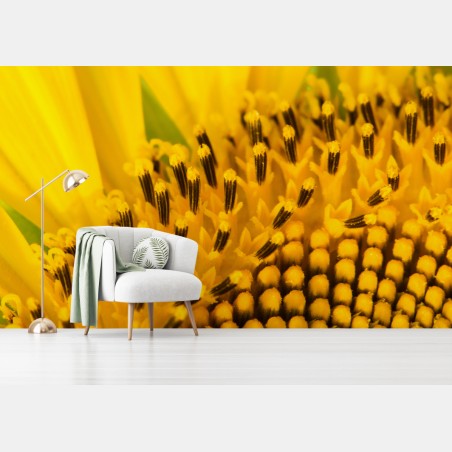 Fototapete goldene sonnenblume nahaufnahme – Pixers®