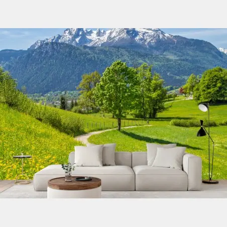 Fototapete alpenwiese und bergpfad – Pixers®
