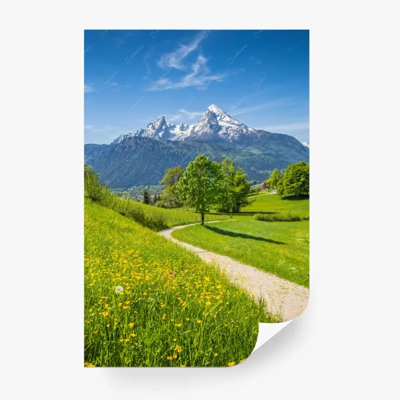 Fototapete alpenwiese und bergpfad