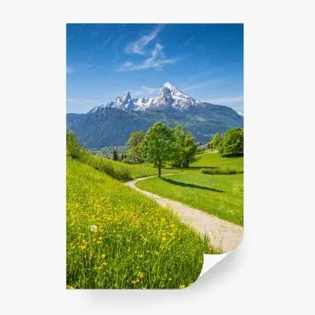 Fototapete alpenwiese und bergpfad – Pixers®