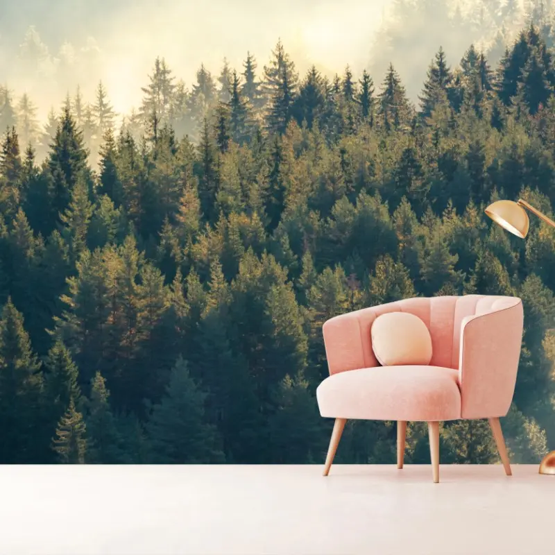 Fototapete nebliger kiefernwald im morgenlicht