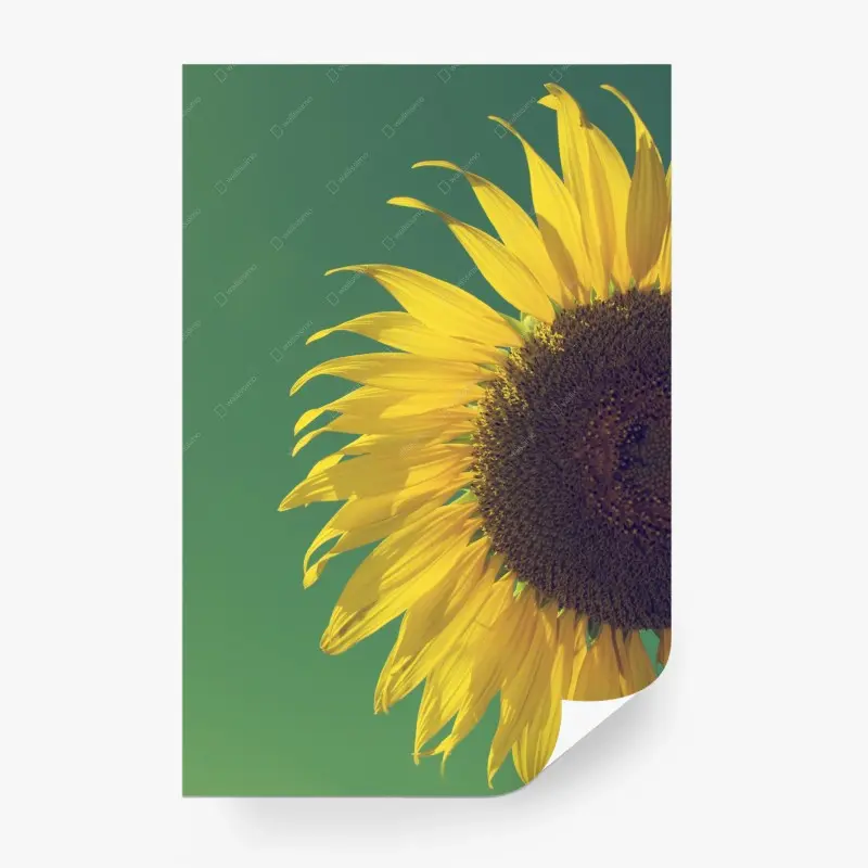 Fototapete strahlende sonnenblume vor vintage-himmel