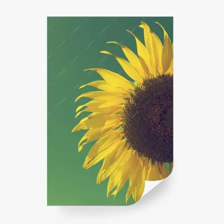 Fototapete strahlende sonnenblume vor vintage-himmel – Pixers®