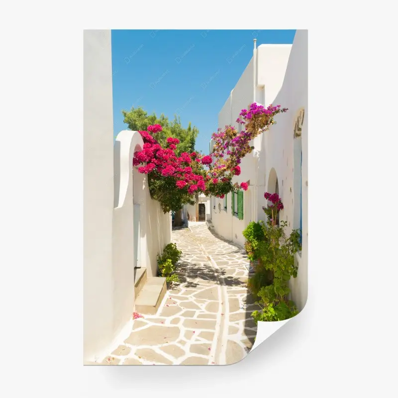 Fototapete sonnige mediterrane gasse mit bougainvillea