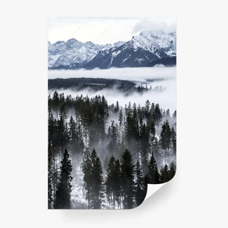 Fototapete Tatra im winternebel