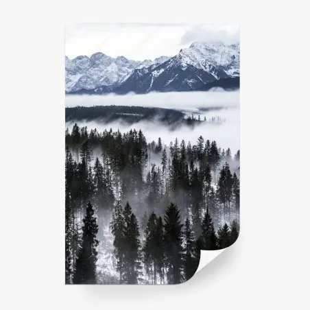 Fototapete Tatra im winternebel – Pixers®
