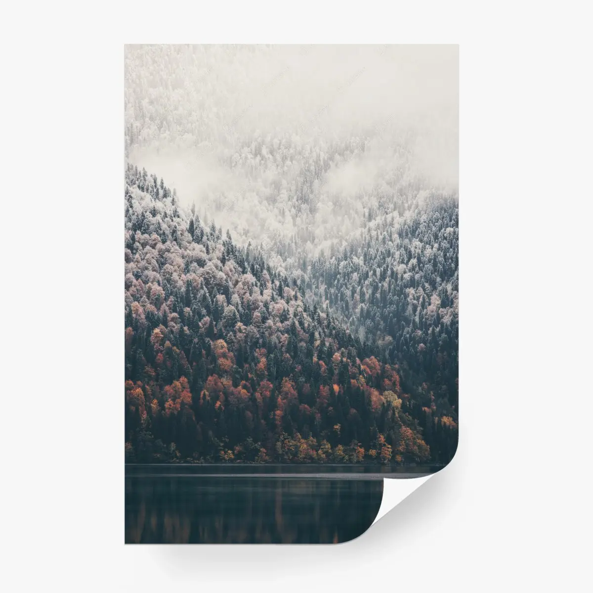 Fototapete herbstlicher nebel über bergwald – Pixers®