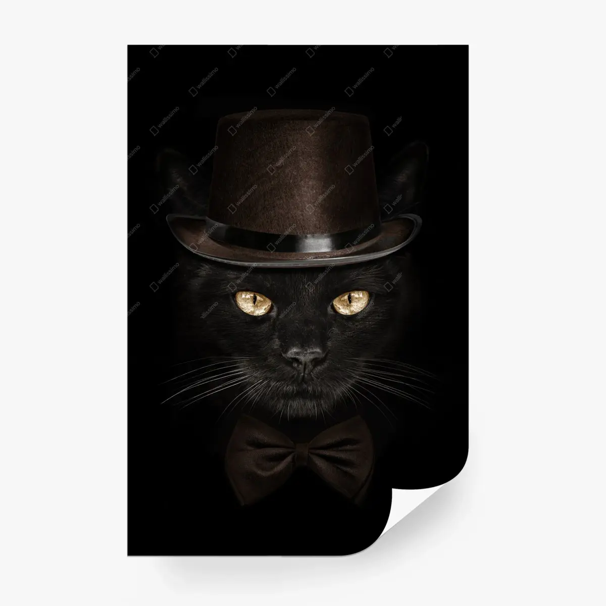 Fototapete elegante schwarze katze mit zylinder und fliege – Pixers®