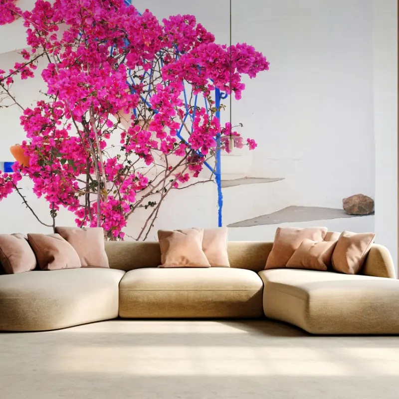 Fototapete rosa bougainvillea vor weißem haus auf griechischer insel