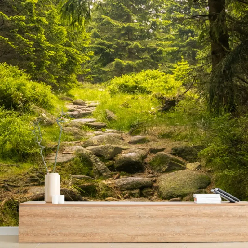 Fototapete ruhiger waldweg durch nadelwald